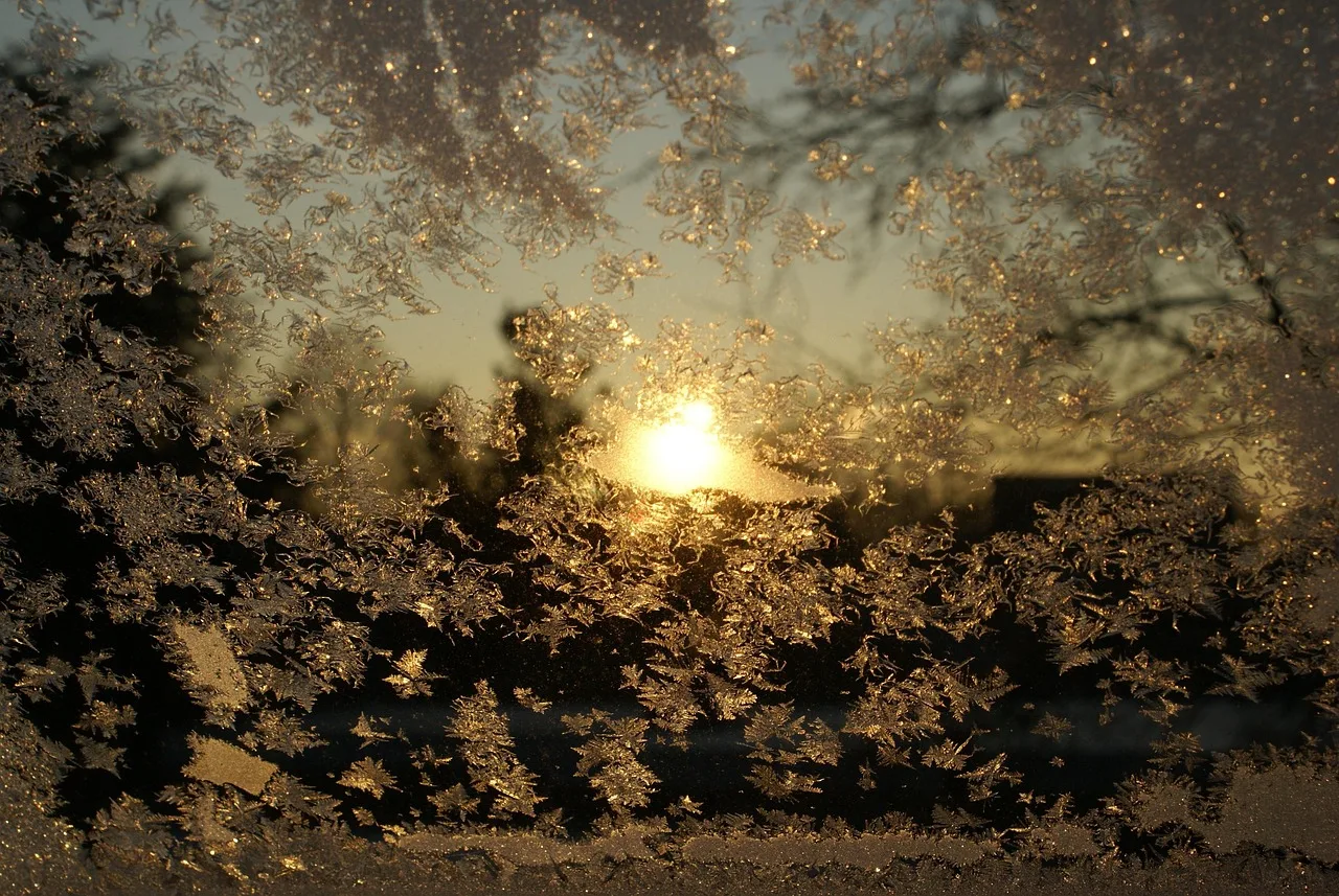 ice crystals, ice, winter, frozen, frosty, window, brown window. Three Winter Clauses for Calgary Window Cleaning Agreements