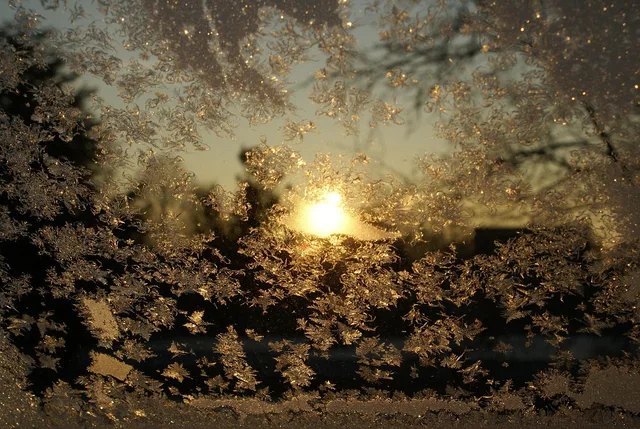 ice crystals, ice, winter, frozen, frosty, window, brown window. Three Winter Clauses for Calgary Window Cleaning Agreements