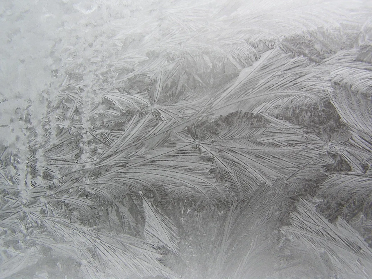 icing, winter window, icing on the window. Window Cleaning Contracts Cold Weather: Winter Clauses