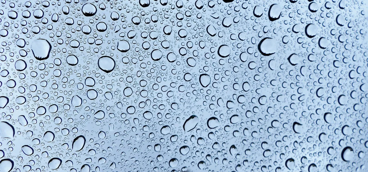 rain, wet, pearl, bubble, cleaner, nature, window. How to price window cleaning services: a formula framework