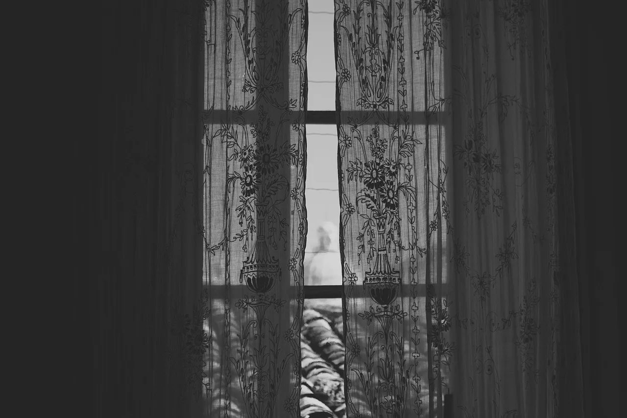 window, curtains, side, decoration, indoors, monochrome, roofs, dome, mood, atmosphere, atmospheric, cosy, moody, lace, window, window, window, window, window, mood, mood, moody, moody, moody. Inspecting window cleaning service quality, explained