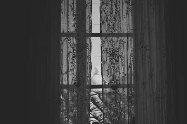 window, curtains, side, decoration, indoors, monochrome, roofs, dome, mood, atmosphere, atmospheric, cosy, moody, lace, window, window, window, window, window, mood, mood, moody, moody, moody. Inspecting window cleaning service quality, explained