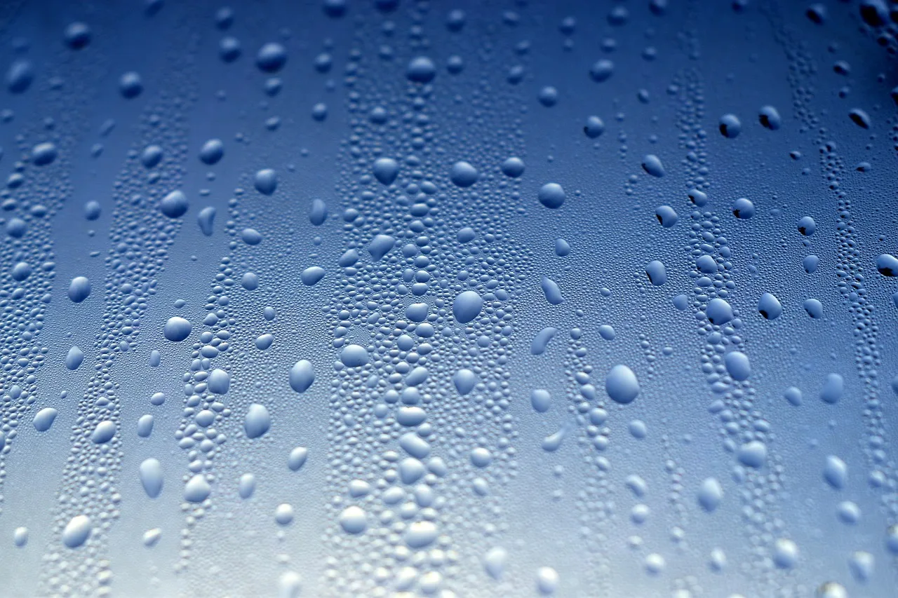 glass, nature, window, drops, water, rain. Window Cleaning Service Agreement: How to Set a Cancellation Policy