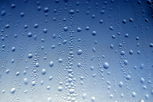 glass, nature, window, drops, water, rain. Window Cleaning Service Agreement: How to Set a Cancellation Policy