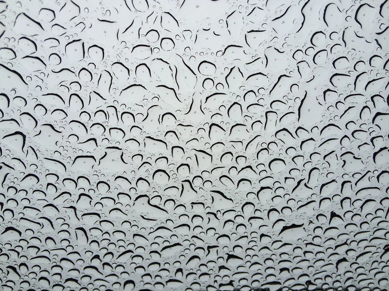 rain, window, raindrops, nature, glass, surface, transparent, droplet, gray rain, gray window. How Vancouver rain shapes window cleaning schedules and contract terms