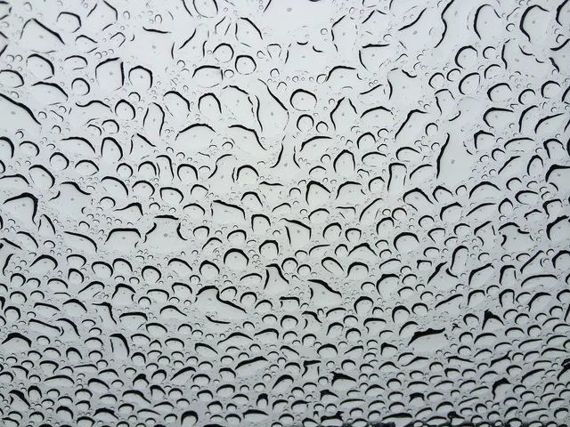 rain, window, raindrops, nature, glass, surface, transparent, droplet, gray rain, gray window. How Vancouver rain shapes window cleaning schedules and contract terms