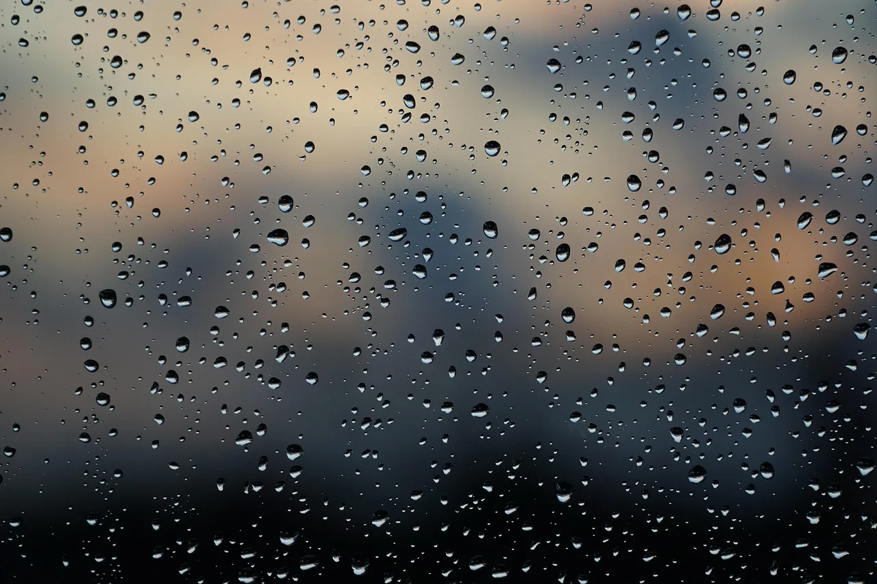 rain, window, raindrop, water, wet, sad, glass pane, glass, droplets, drops, waterdrop, rainy, umbrella, rainy weather, nature, dark, evening atmosphere, weather, storm, wind, flow, sadness, consolation, to comfort. Window cleaning business insurance: coverage and risks