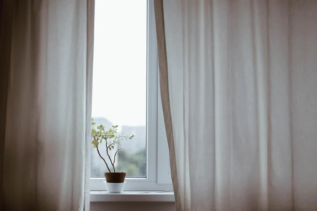 curtains, decoration, indoors, plant, potted plant, window, minimalist, nature, minimalistic, interior decoration, indoor plant. Getting window cleaning KPIs right the first time