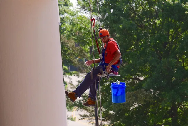 window washer, man, washer, cleaner, work, window, worker, clean, service, person, professional, job, occupation, window cleaner, business, window cleaning, elevated, cable, bucket, heights, building, trees, day time, green business, green work, green time, green building, green window, green job, nature, green company, green clean, green service. Window cleaning employee pay: May 2024 benchmarks